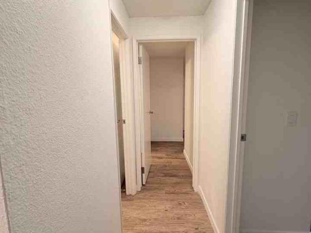 Apartment for rent in Seattle, Washington