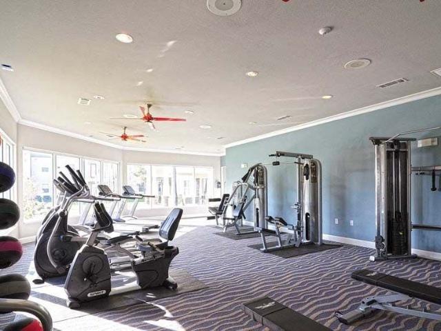 Apartment for rent in Wendy Acres Colonia, Ingleside
