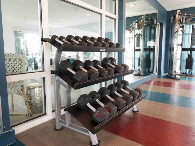 Apartment for rent in Naples, Florida