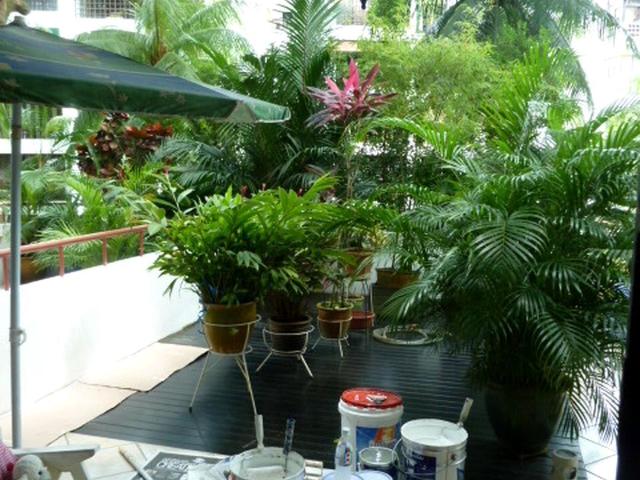 Condominium for rent