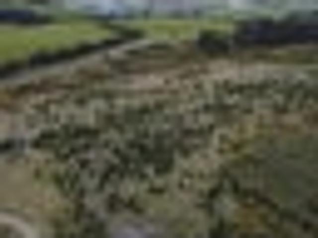 Land for sale in Waitaki District, Otago