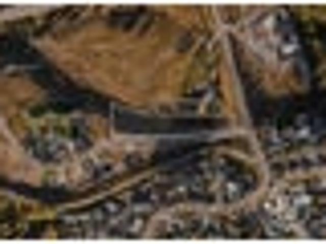 Land for sale in Otakou