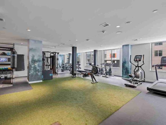Apartment for rent in White Plains, New York