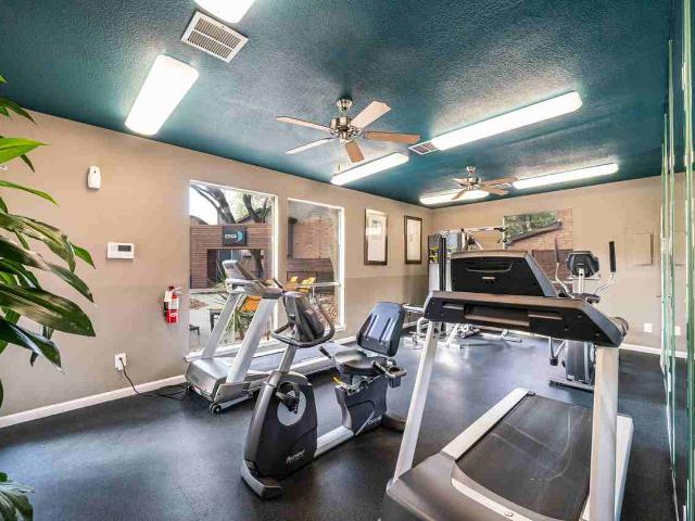 Apartment for rent in Harris, Texas