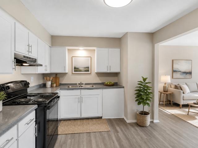 Apartment for rent in Mount Prospect, Illinois