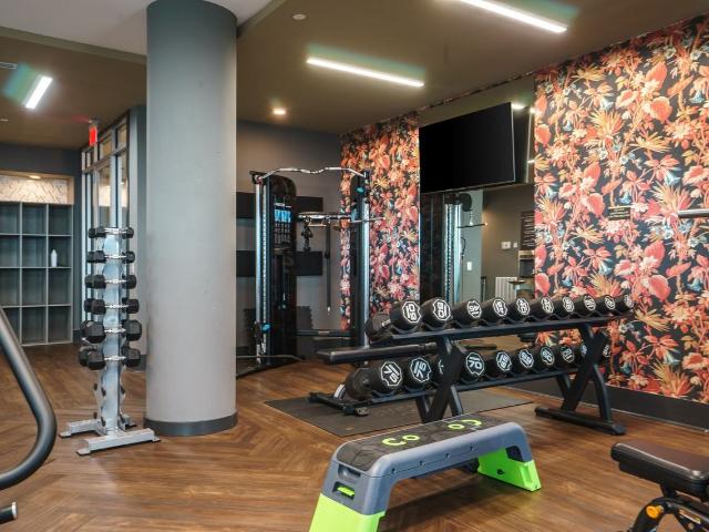 Apartment for rent in Tampa, Florida