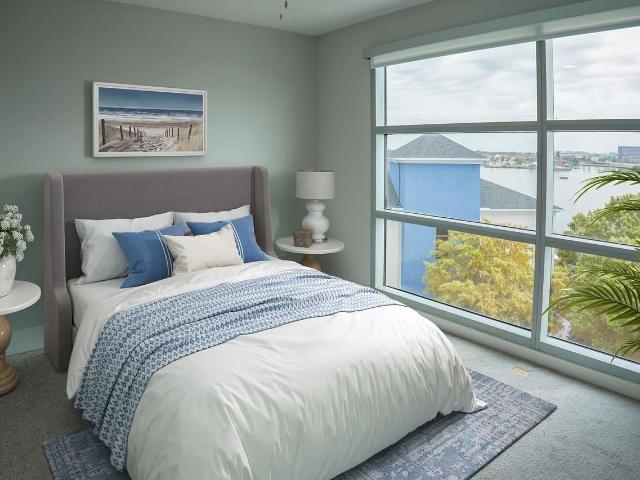 Apartment for rent in Tampa, Florida