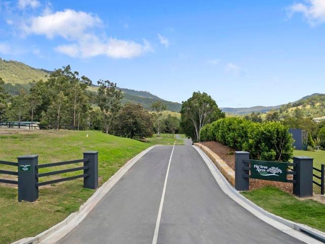 Land for sale in Canungra, Queensland