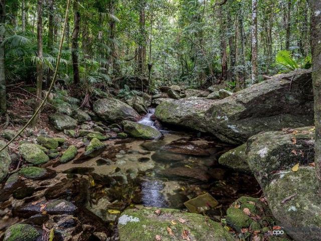 Cottage for sale in East Russell, Queensland