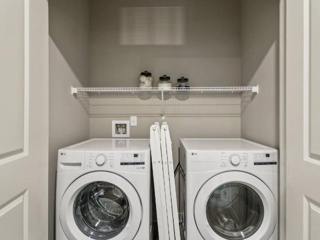 Apartment for rent in Tremont Park, Savannah