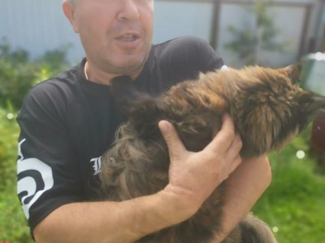 House for rent in Barking, Isle Of Man