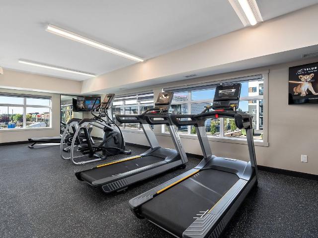 Apartment for rent in Wedgewood, Alberta