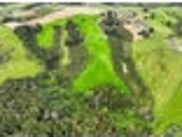 Land for sale in Awhitu