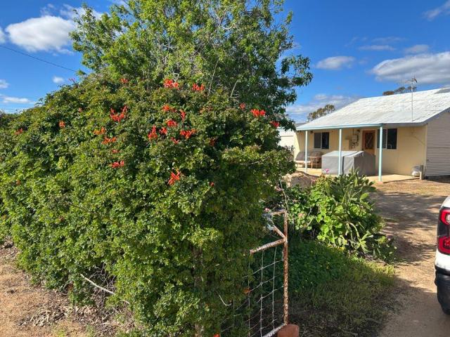 House for sale in Koorda, Western Australia