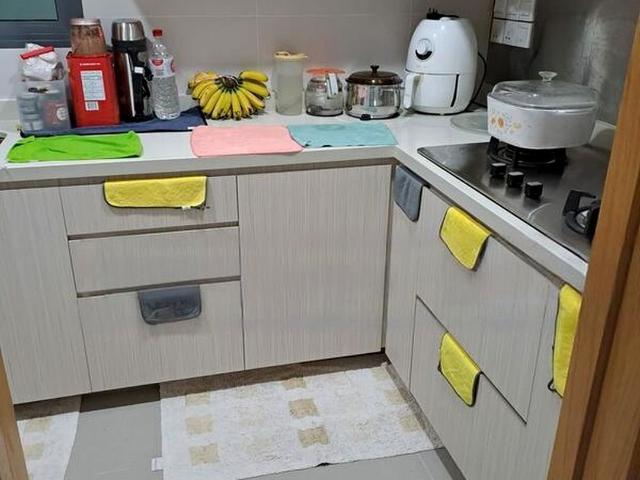 Condominium for rent in 19 North East, Hougang