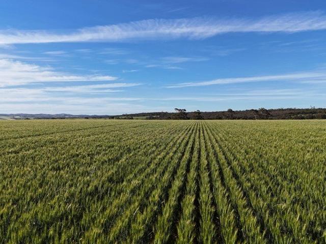 Cottage for sale in Gladstone, South Australia