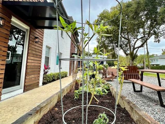 Apartment for rent in Orlando, Florida
