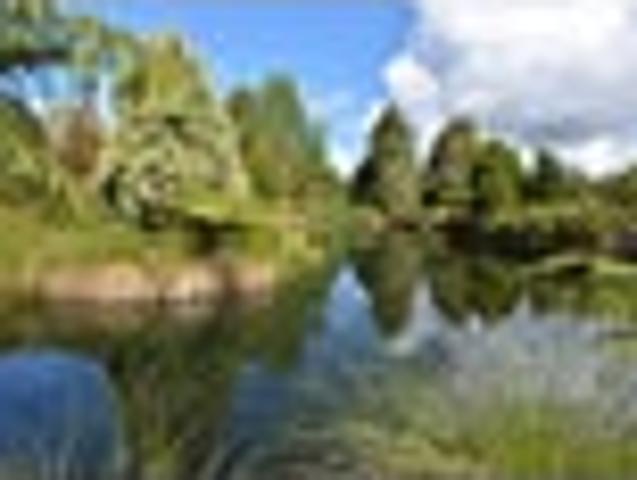 House for sale in Northland