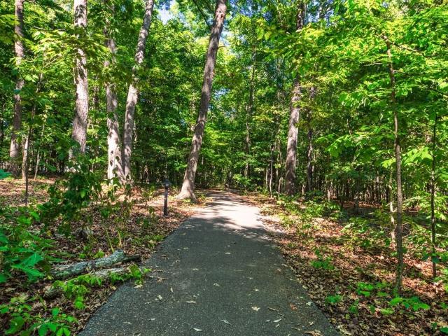 Apartment for rent in Virginia