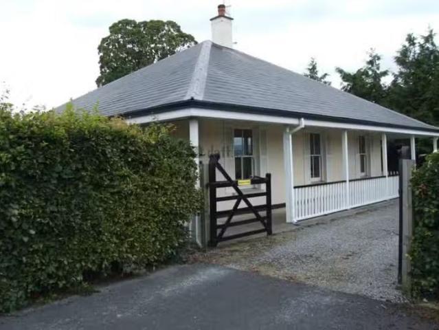 House to rent