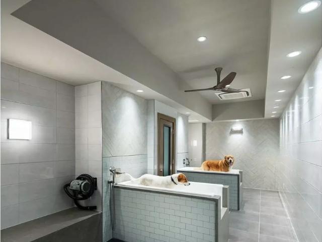 Apartment for rent in Fort Worth, Texas