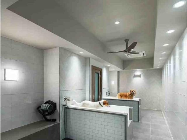 Apartment for rent in Fort Worth, Texas