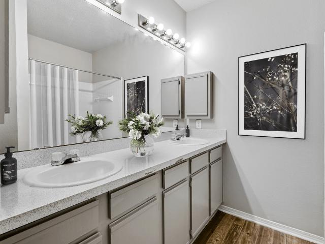 Apartment for rent in Plano