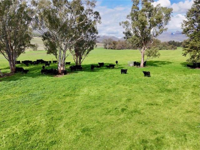 Cottage for sale in New South Wales