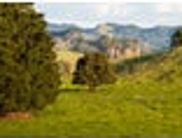 Land for sale in Whangarei, Northland