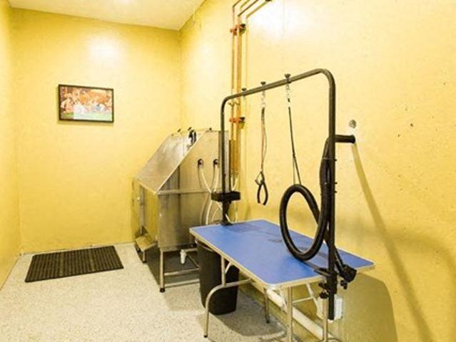 Apartment for rent in Grandville