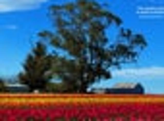 Land for sale in Willowbridge, Canterbury