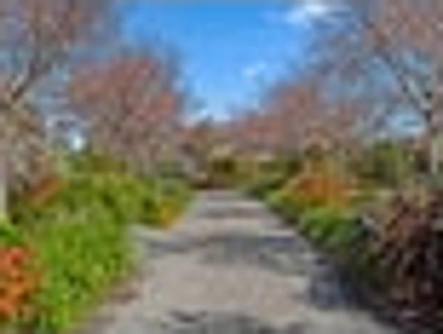 House for sale in Greytown, Greytown Community