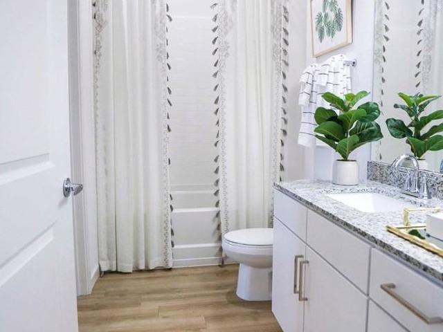 Apartment for rent in Armenia Acres, Tampa