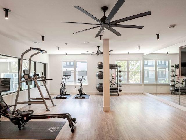 Apartment for rent in Dallas, Texas