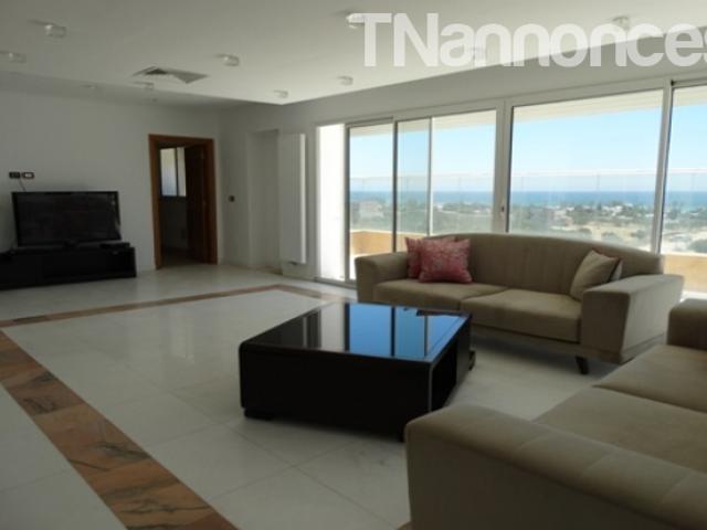 Appartement location
