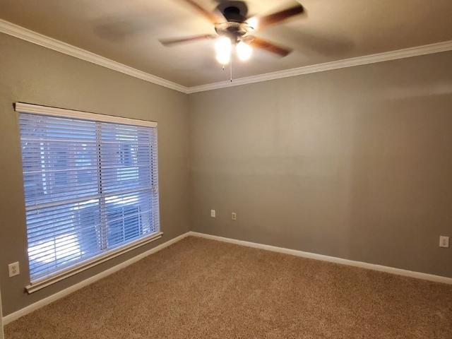 Apartment for rent in Austin, Texas