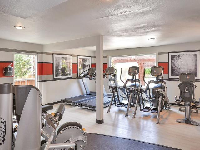 Apartment for rent in Dallas, Texas