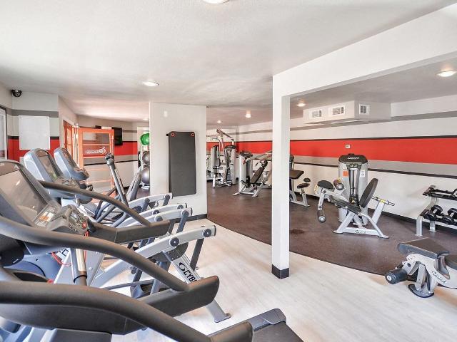 Apartment for rent in Dallas, Texas