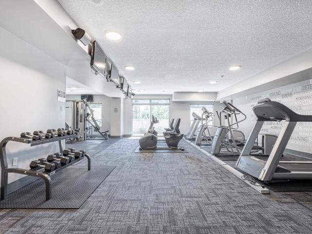 Apartment for rent in Arva, Ontario