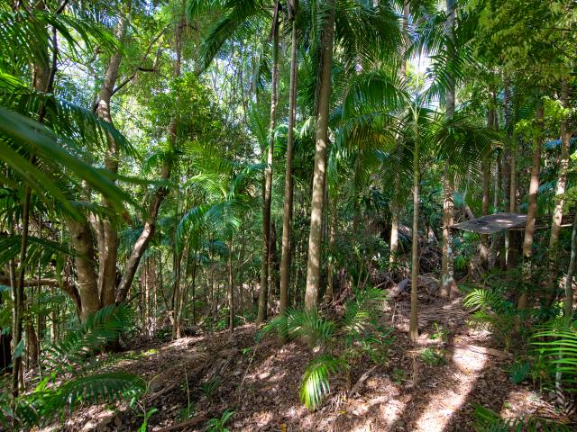 Cottage for sale in Fernbrook, Queensland