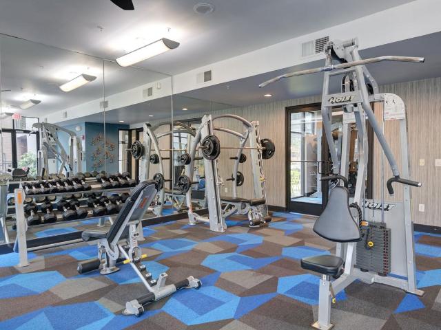 Apartment for rent in Dallas, Texas