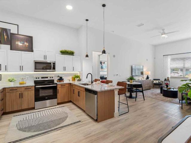 Apartment for rent in The Henry, Sanford
