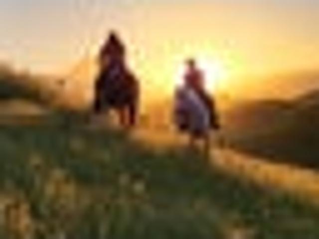 Land for sale in Taranaki