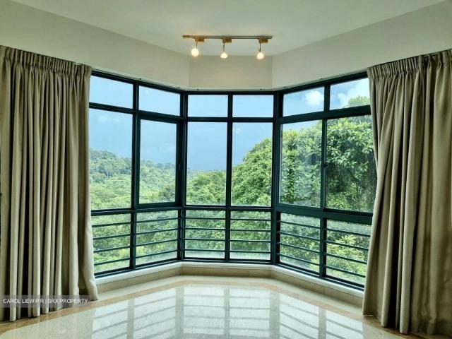 Condominium for rent in Bukit Batok, 05 South West