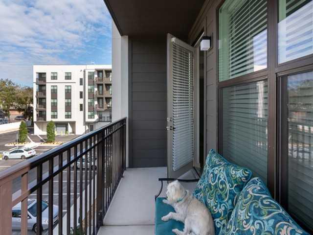 Apartment for rent in Tampa, Florida