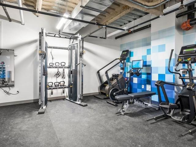 Apartment for rent in New Rochelle, New York