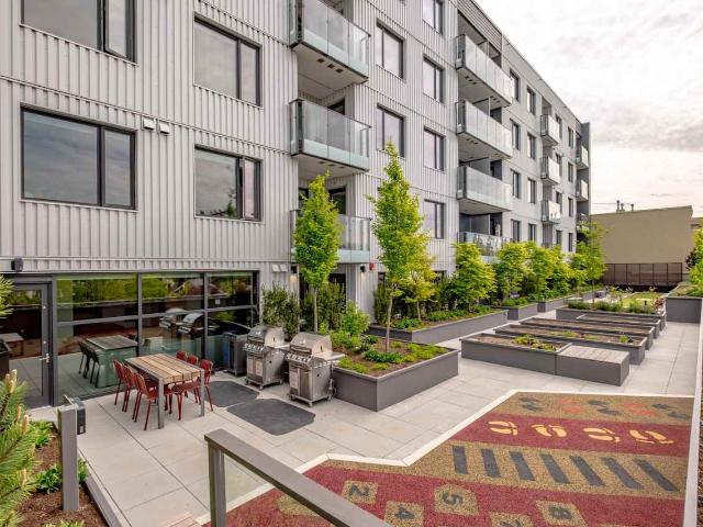 Apartment for rent in Vancouver, British Columbia