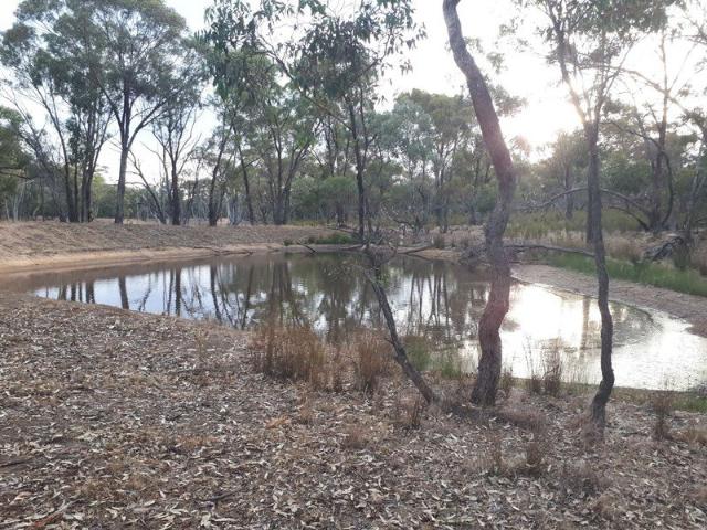 Land for sale in Bealiba, Victoria