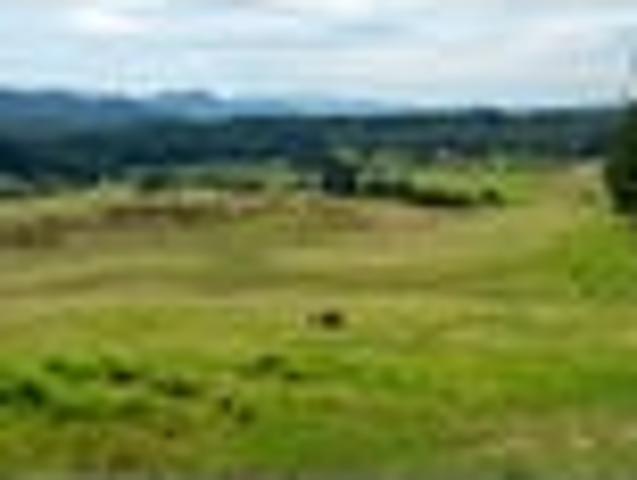 Land for sale in Tasman District, Tasman