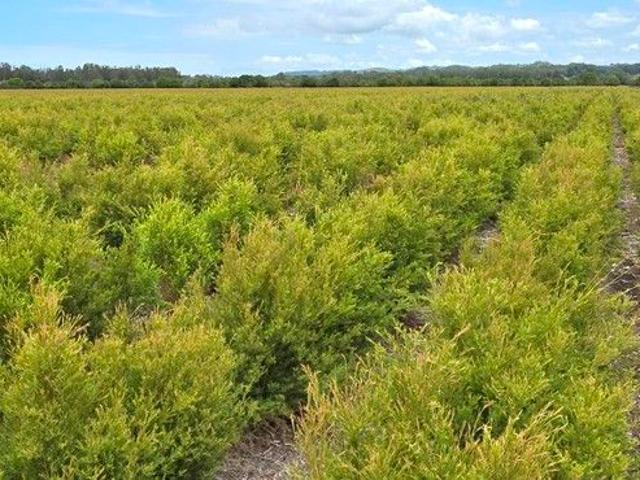 Cottage for sale in New South Wales